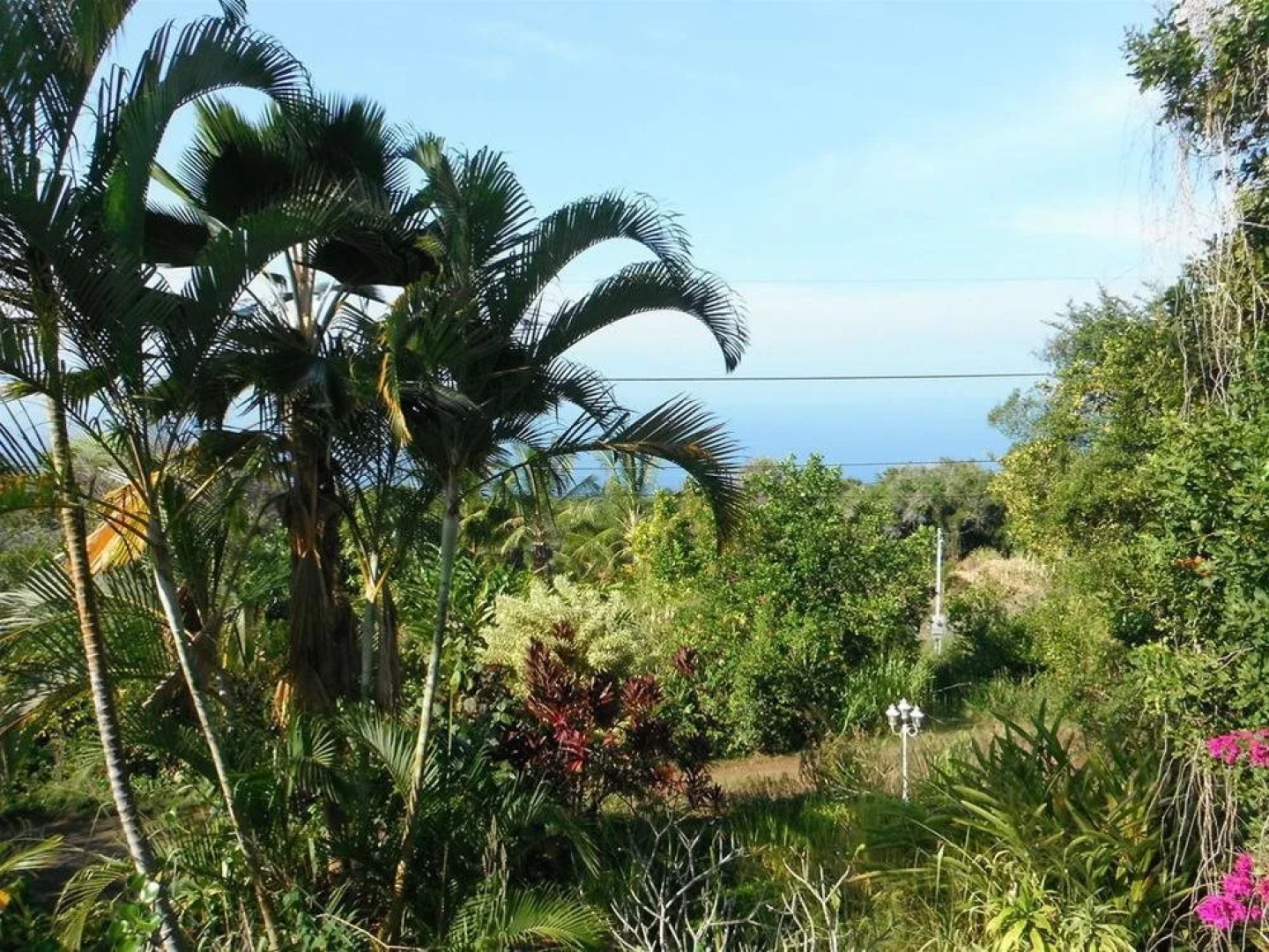 The Rainbow Plantation Bed and Breakfast