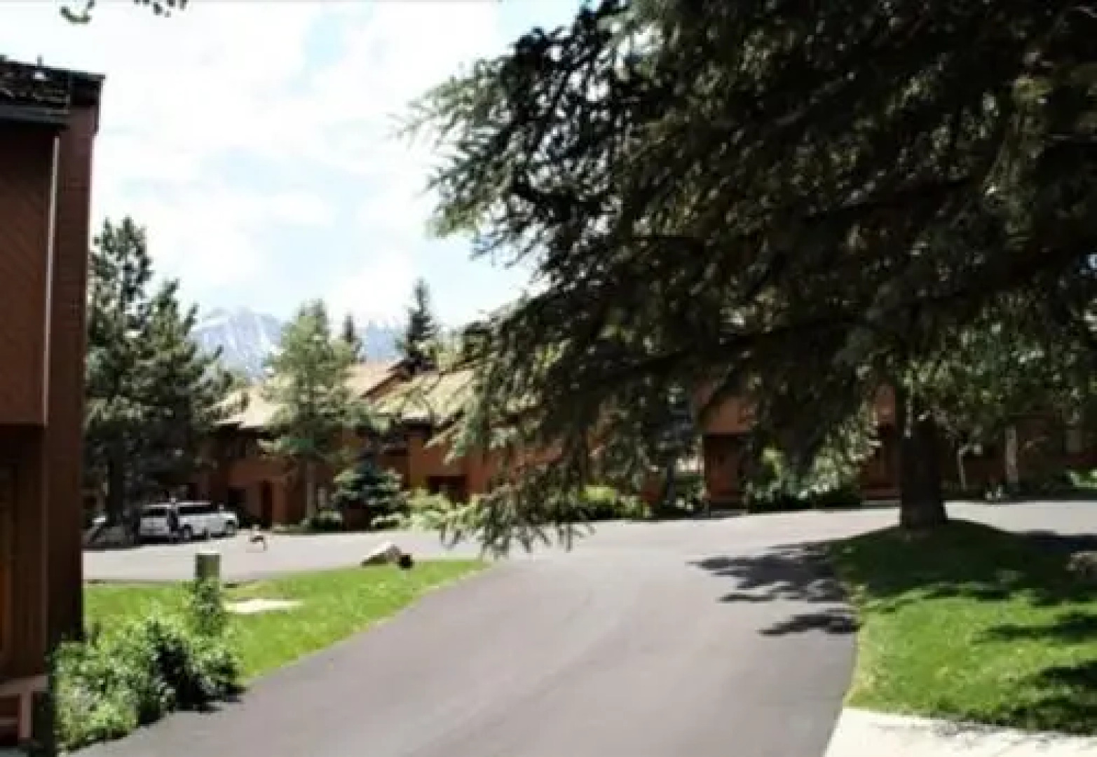 Bright & Beautiful Snowflower Suite - Listing #380