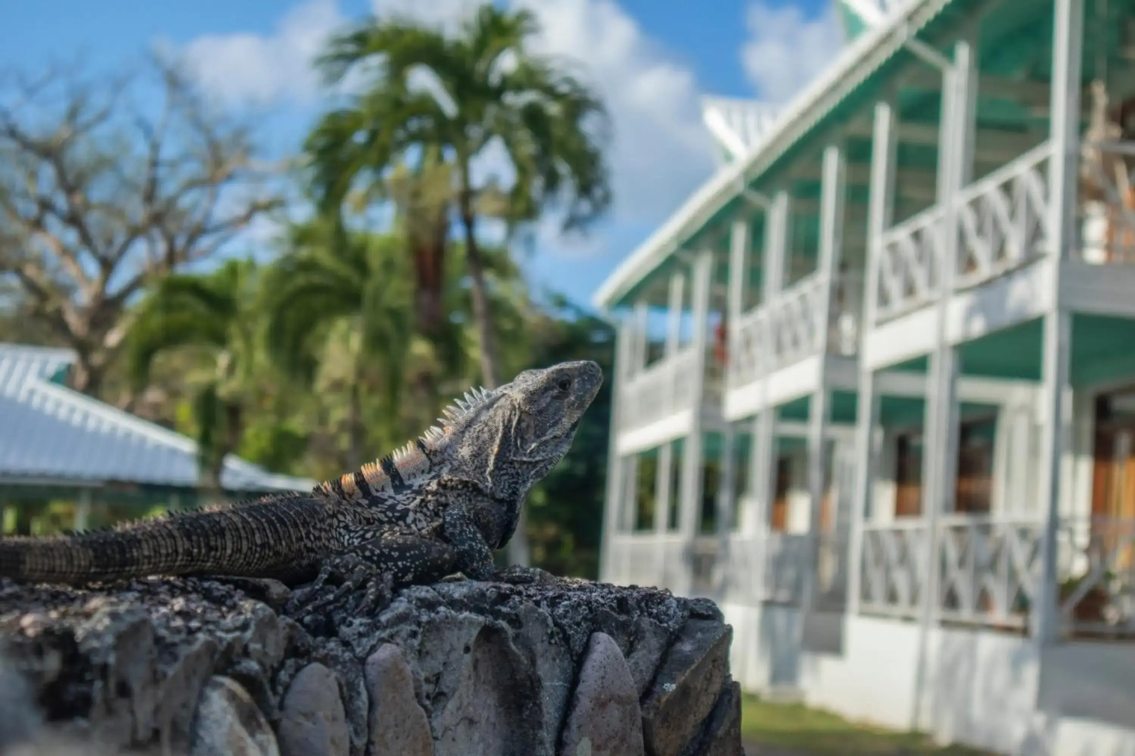 South West Bay Cabañas
