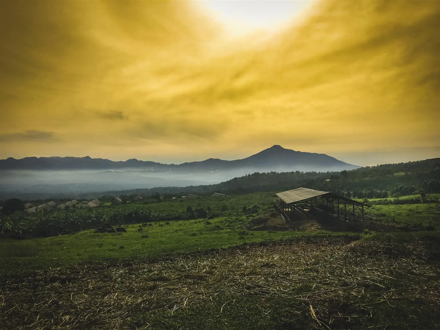 Kebunsu Bogor Villas