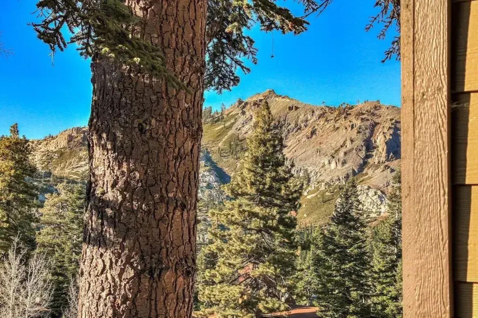 Alpine Meadows Peak 15 Min to Commons Beach