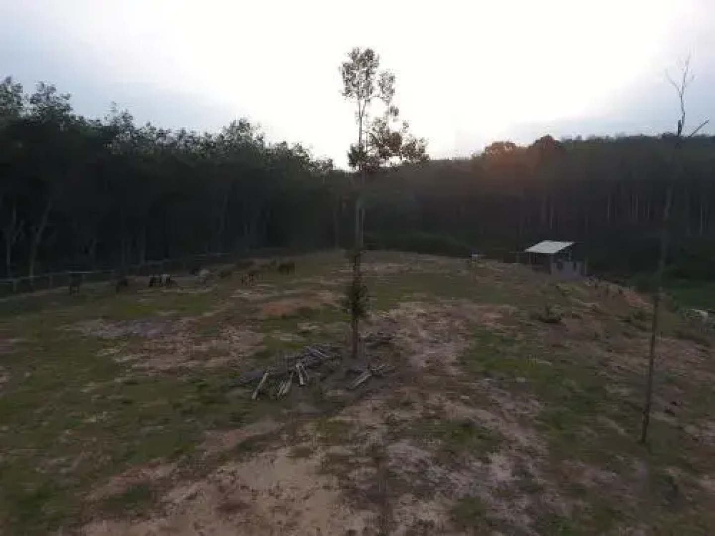 Chalet Kampong Semawar