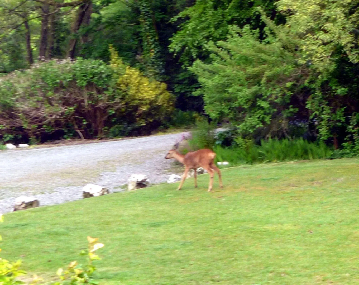 Score Valley Country House