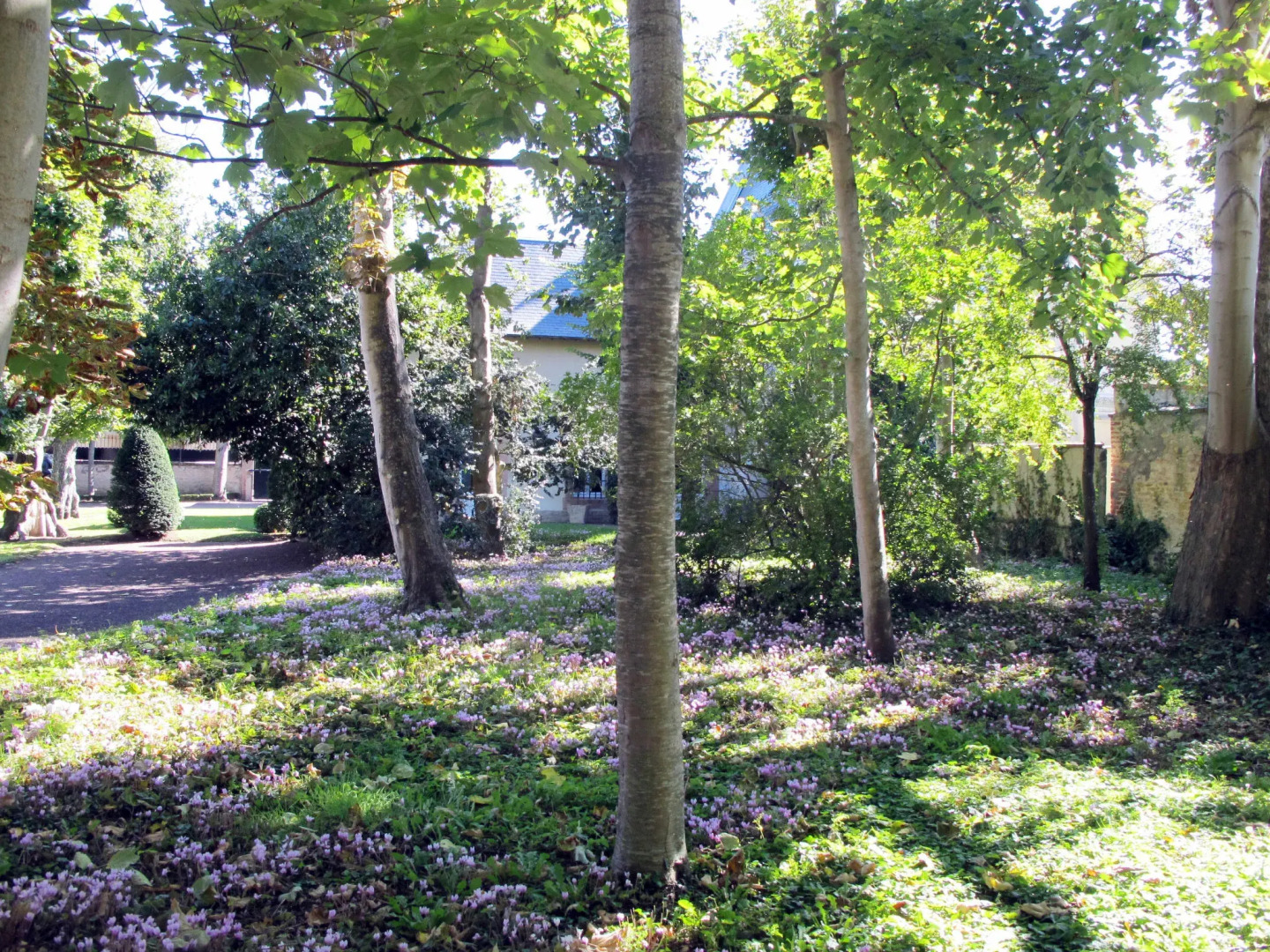 La Bigeonnière (CAB400)