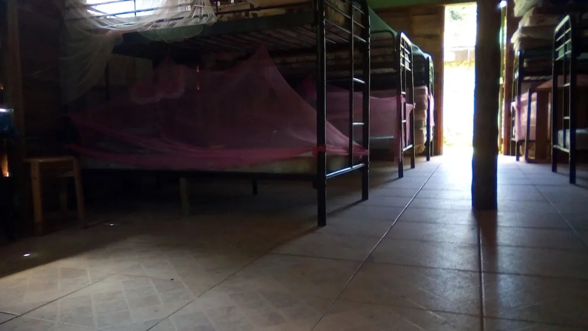 3 Rivers & Rosalie Forest Eco Lodge