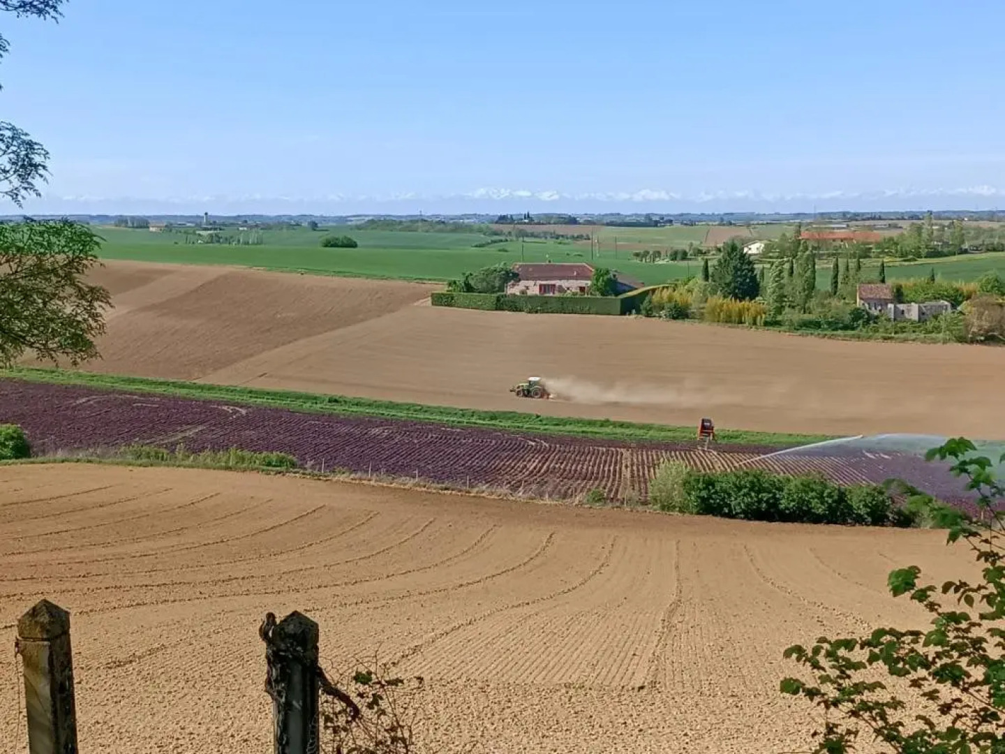 Le Jardin Des Cèdres