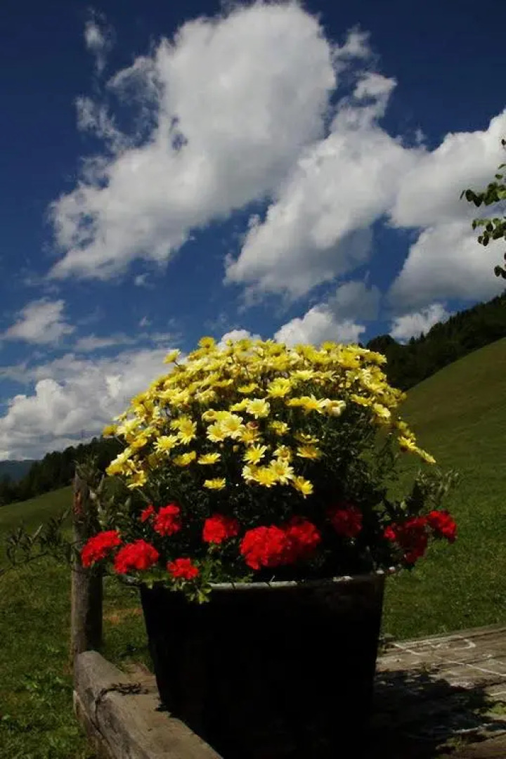 Hüttenferien Köberlhof