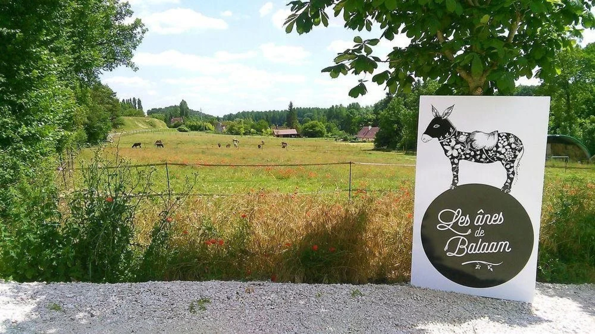 Chambre d'hôtes Tournemire