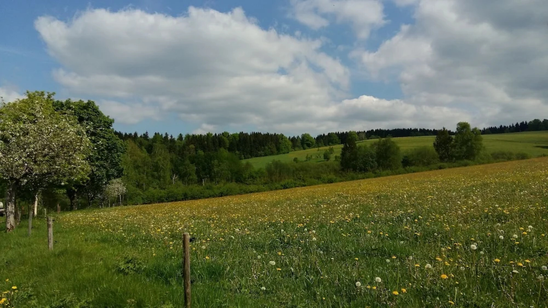 Gasthaus & Pension Schweizerhof