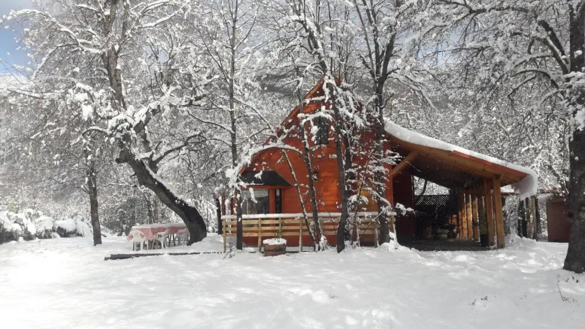 Cabañas Tronco Mayen