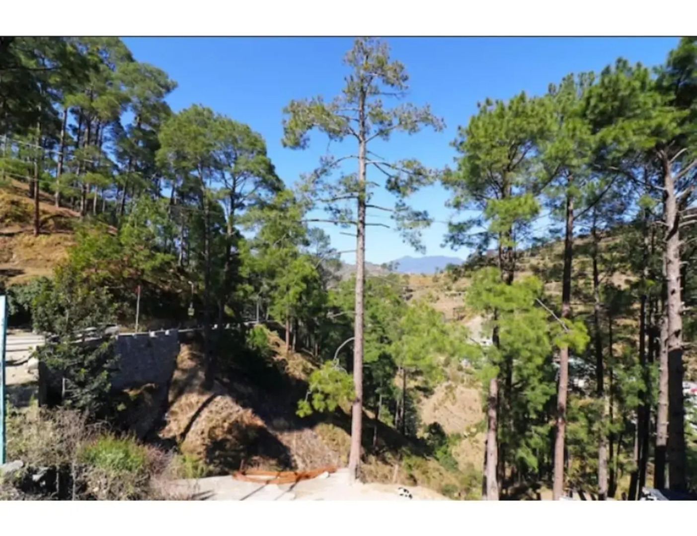 OYO 23141 Kanak Palace Barkot