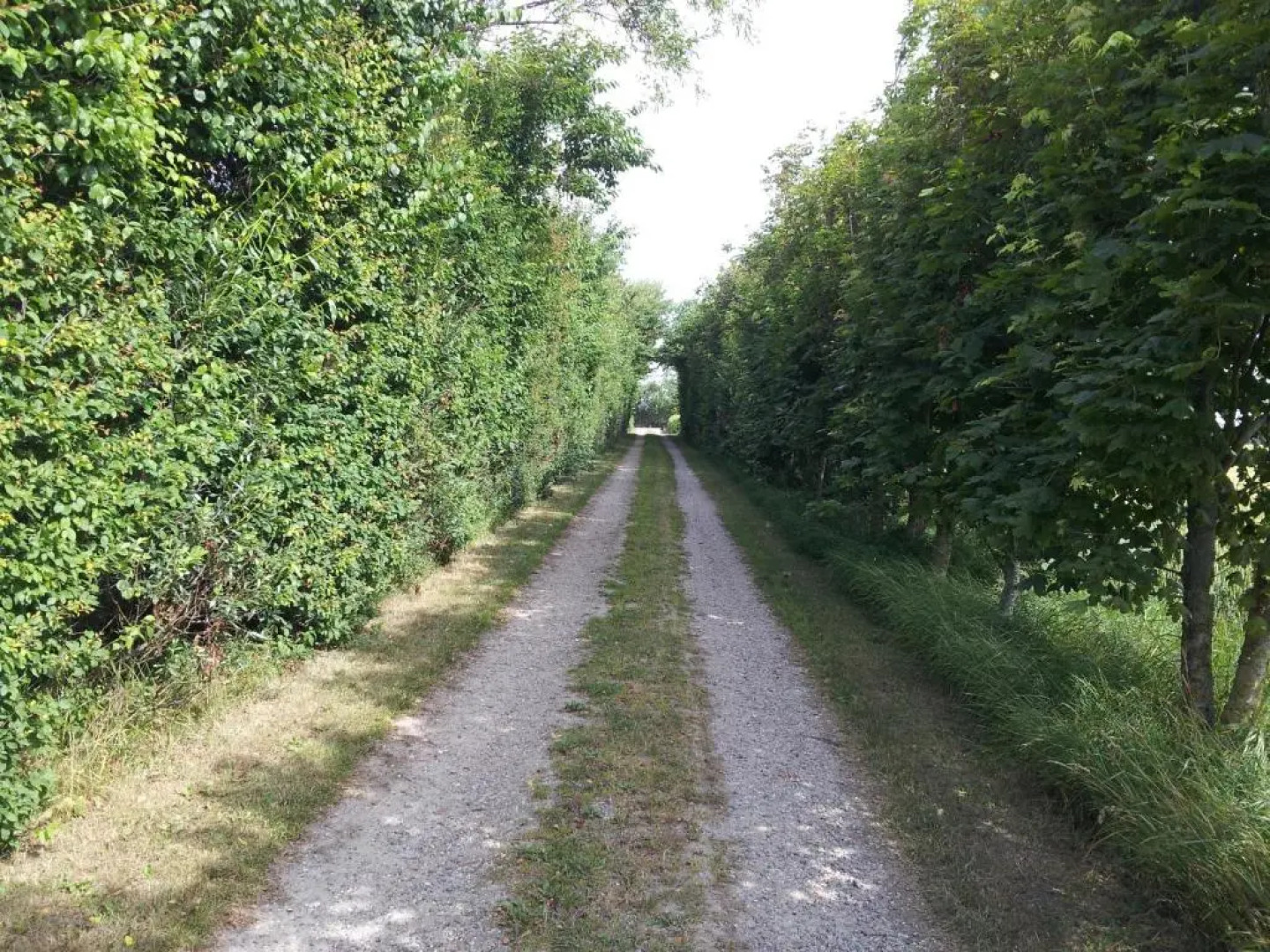 Lilleledgaard Apartment