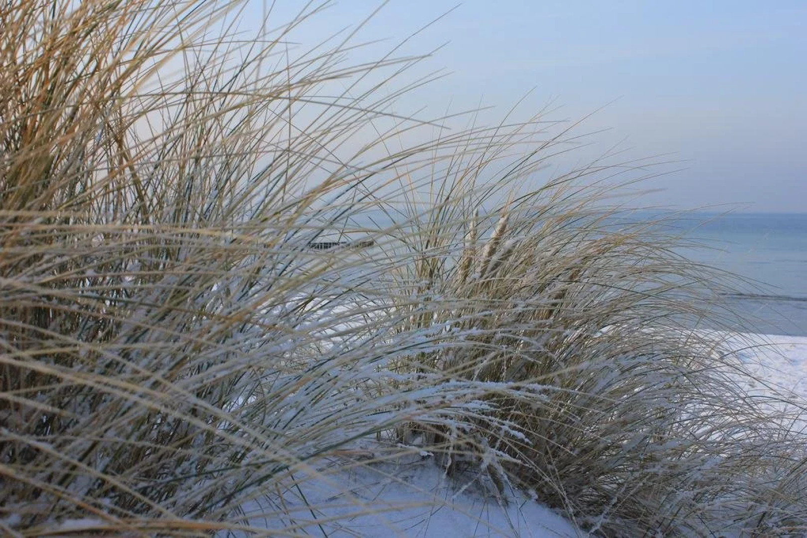 Appartmentanlage Zur Düne