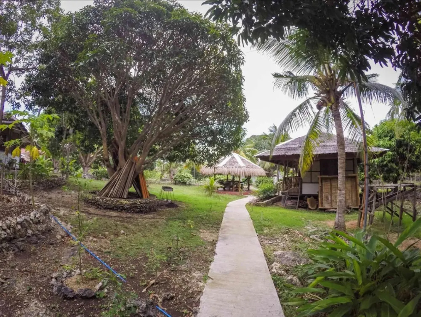 Chelle's Guest House and Backpackers - Hostel