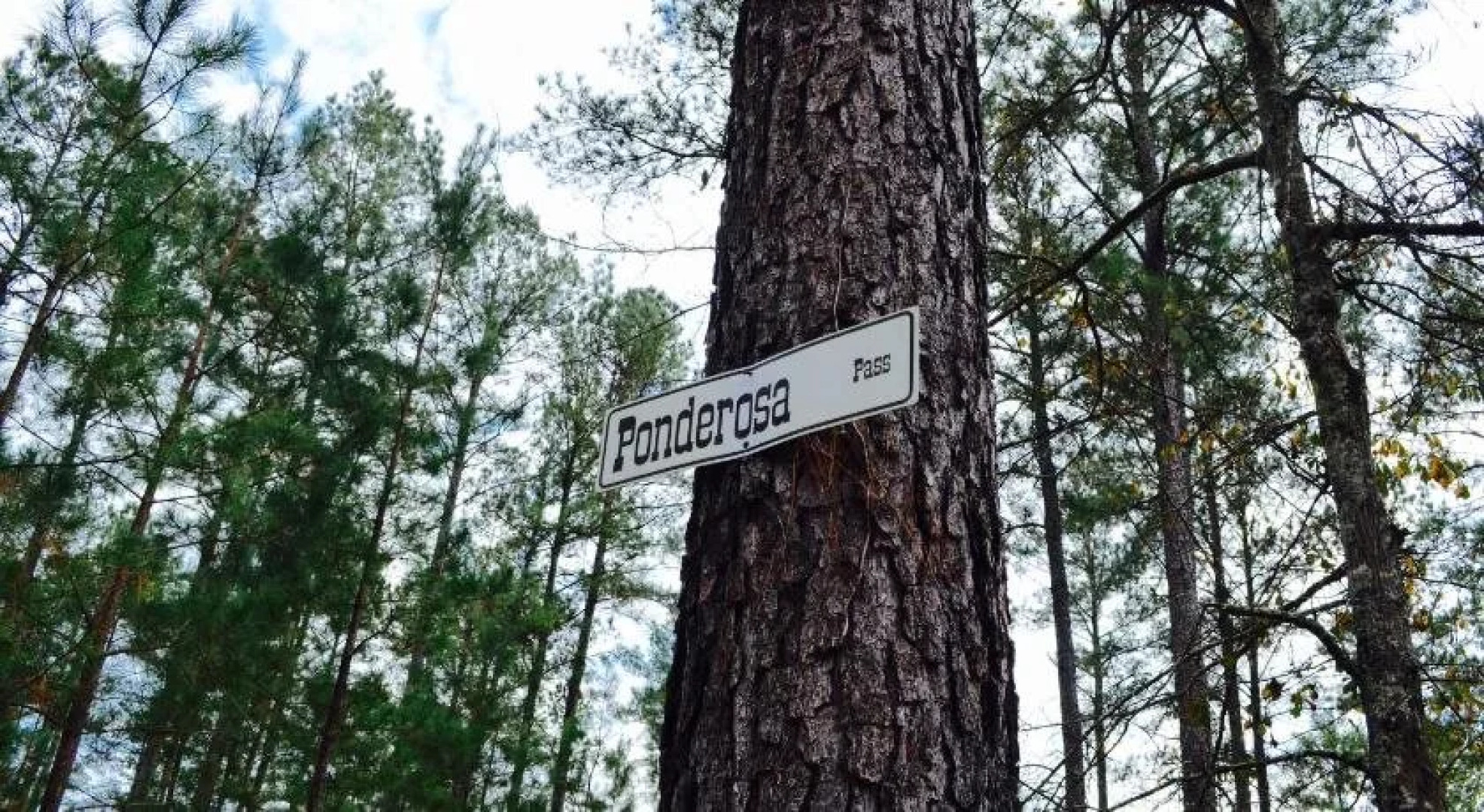 River Ranch Bed & Breakfast