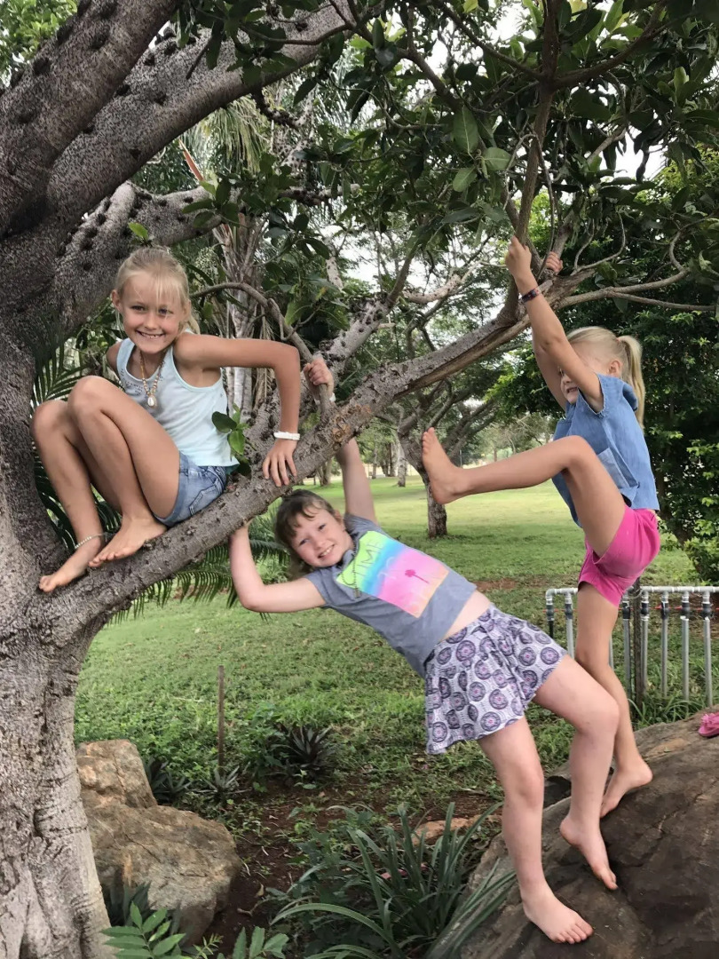 Hamiltons Lodge & Restaurant