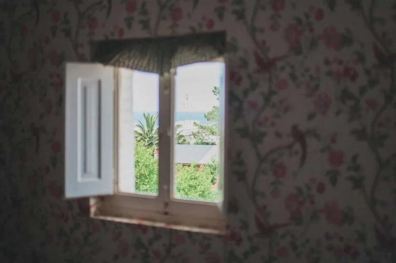 Alamar Salinas - Hostel