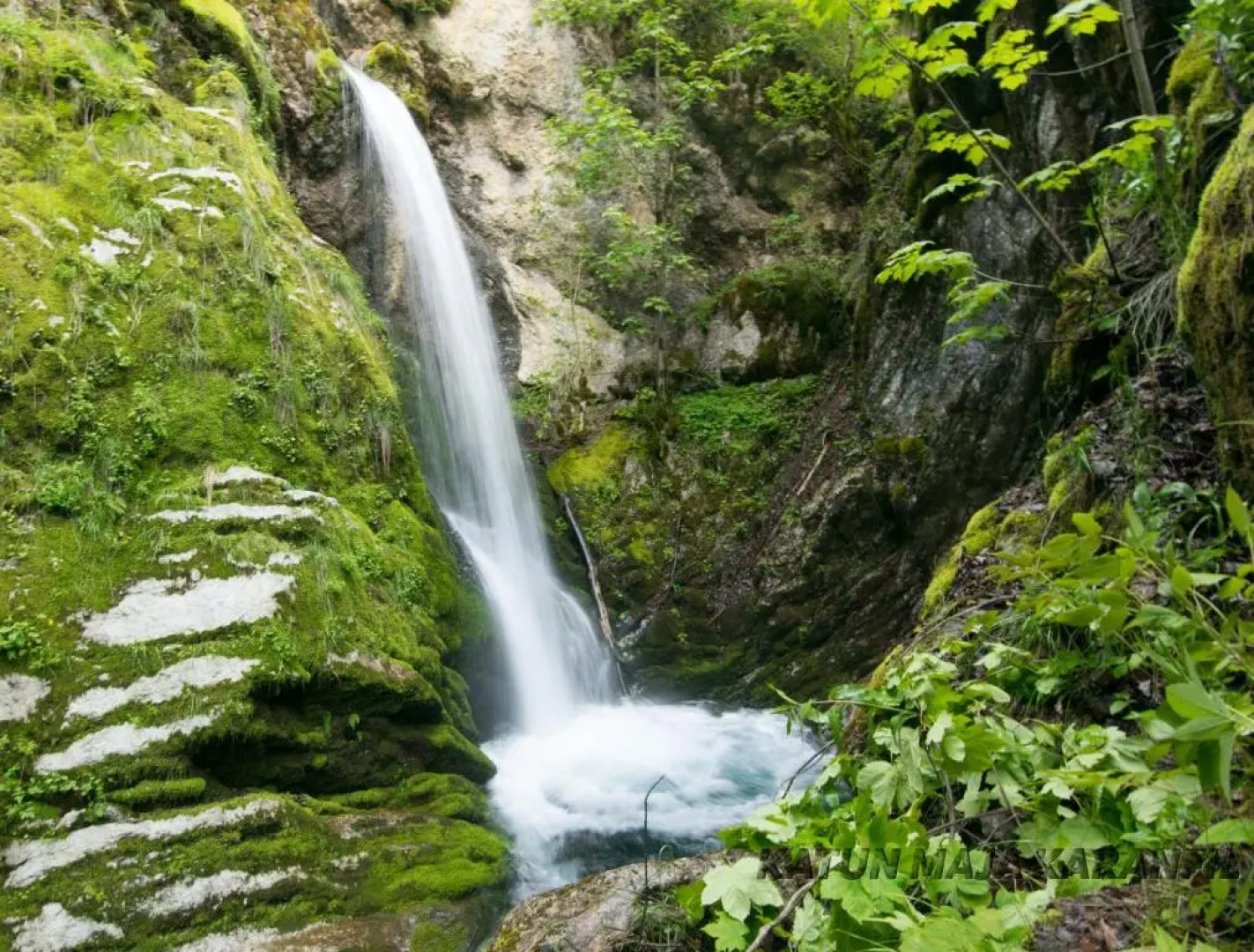 Bungalows Katun Maja Karanfil