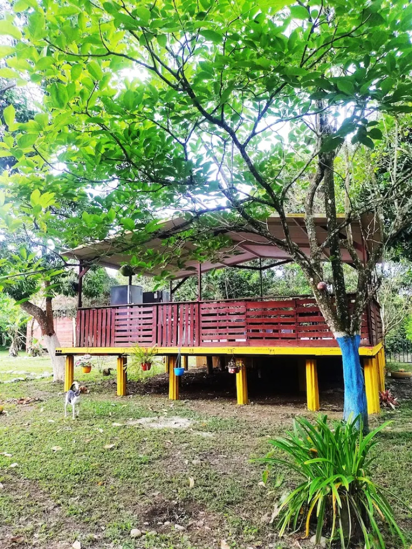 amalaya hostel