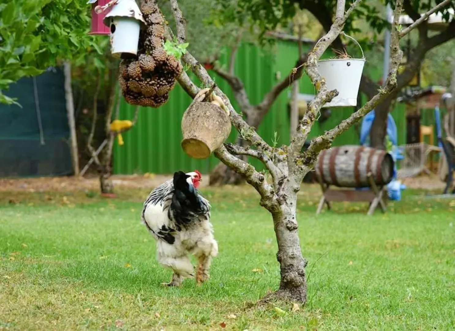 Apartment With one Bedroom in Castrovillari, With Wifi