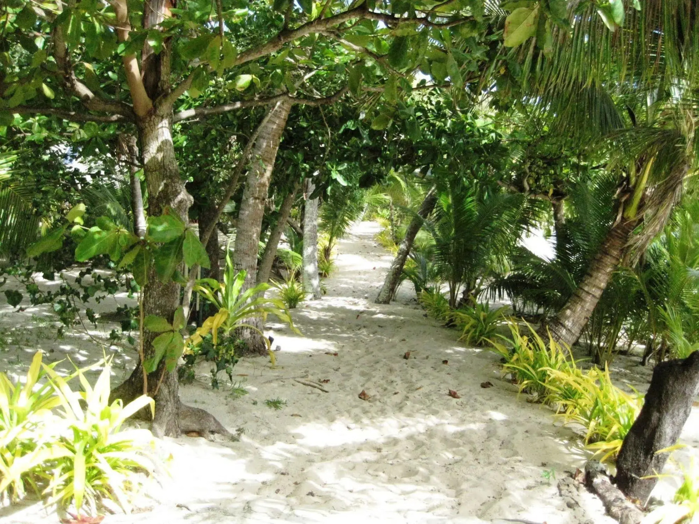 Botaira Beach Resort