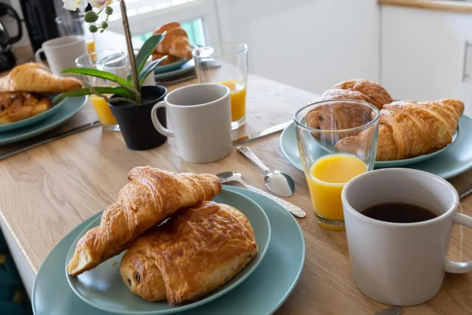 Le Charme Exotique Paris en 10 minutes