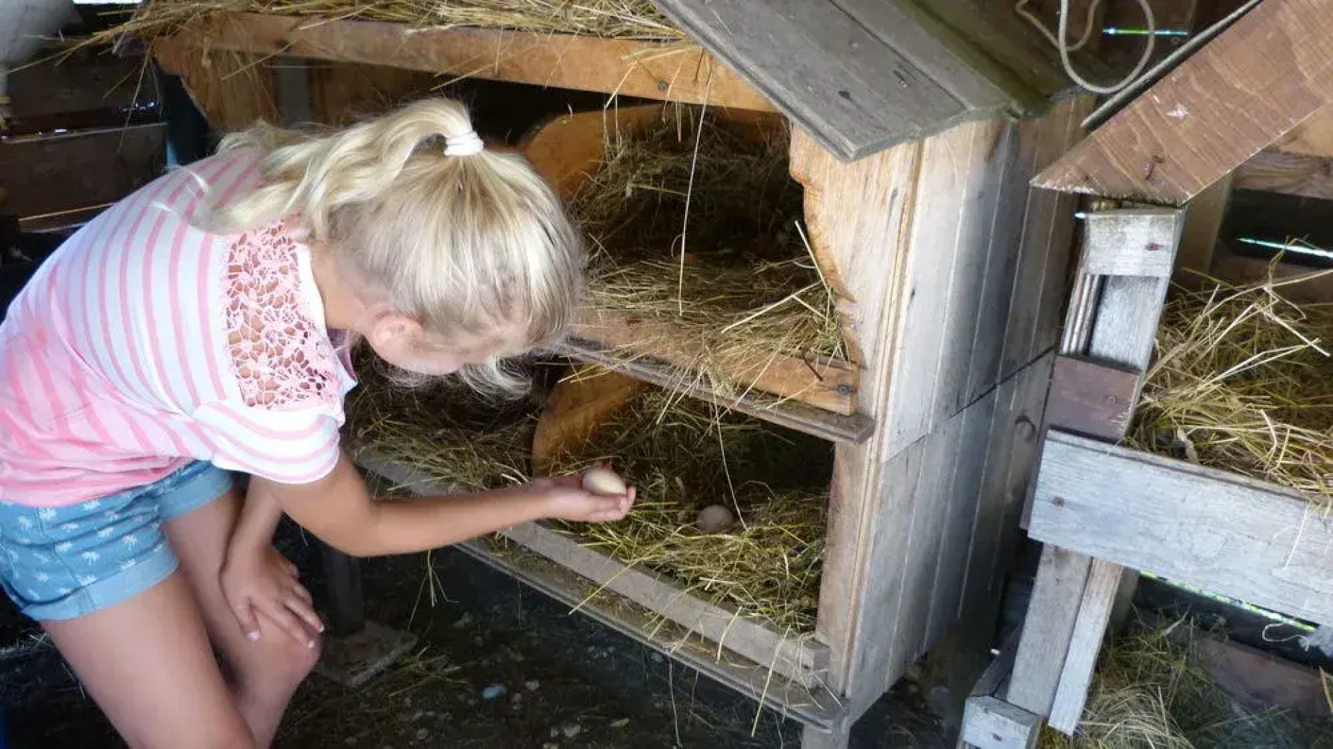 Cerqua Rosara Residence