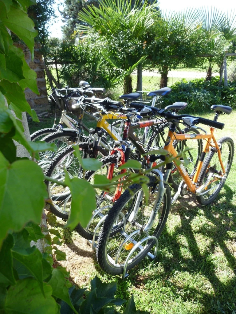 Casale dei Gelsi Bed & Breakfast