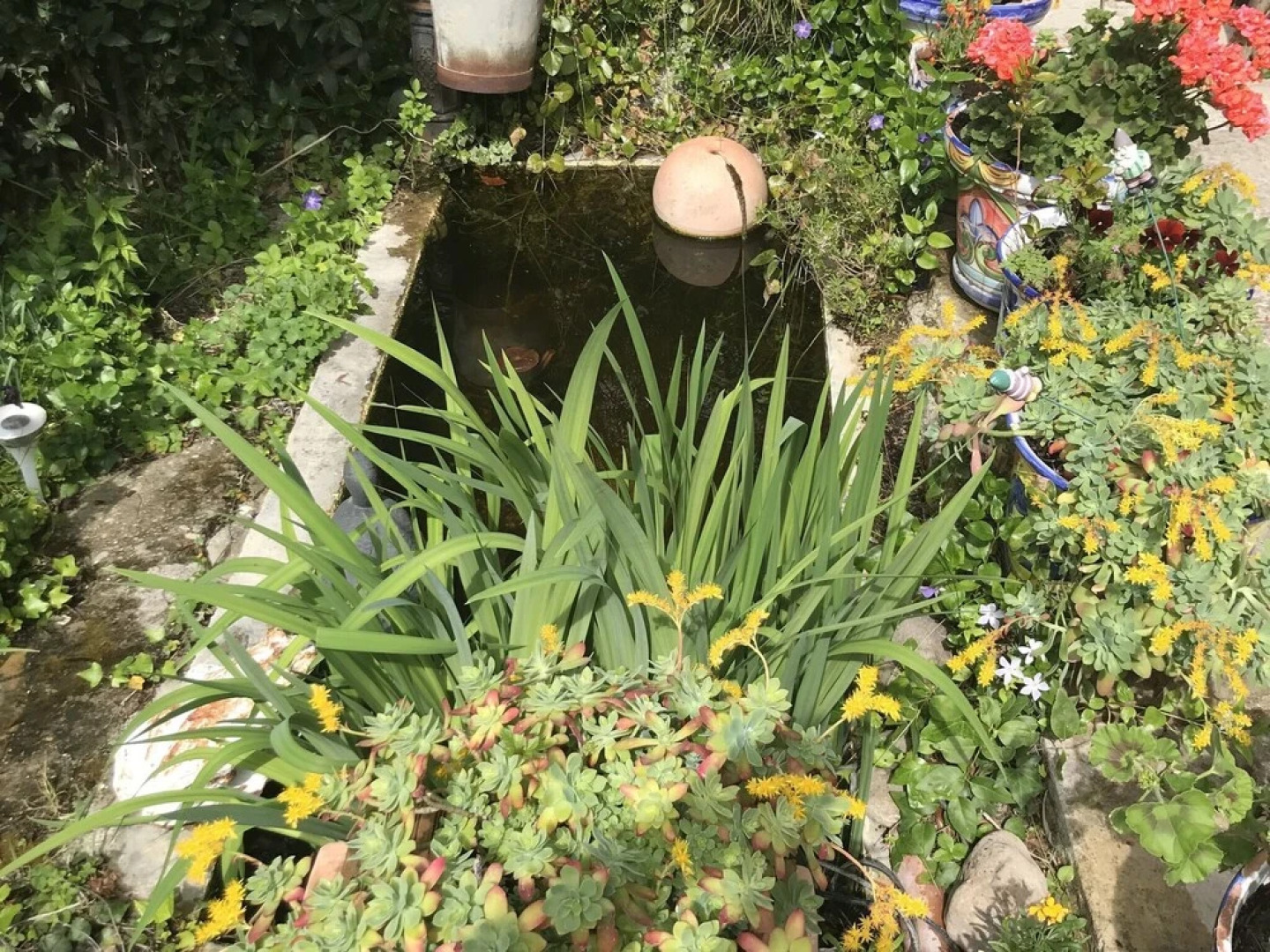 Serene Holiday Home in Lagrasse With Terrace