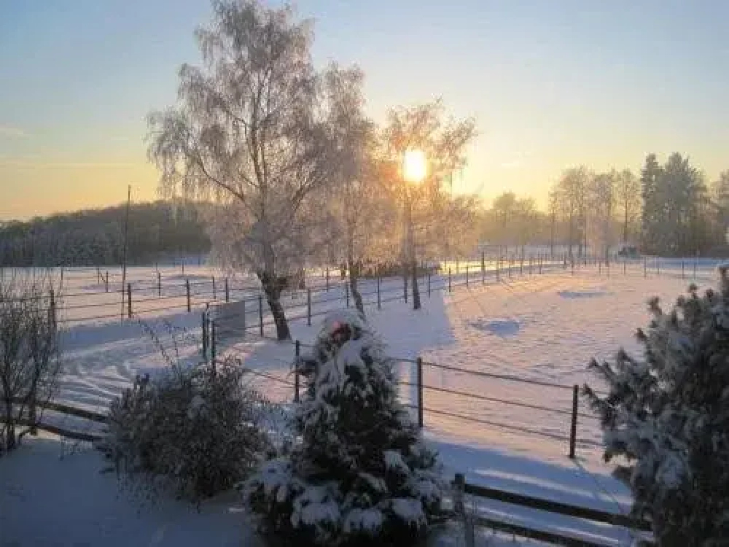 Ferienpension Zum Hochscheid
