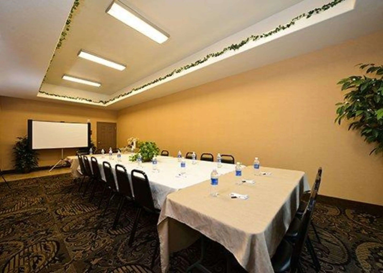 Comfort Suites Bay City