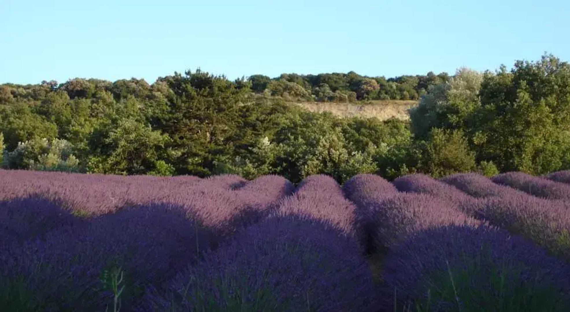 Gite Domaine de lEsperouze