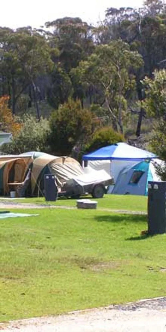 Scamander Tourist Park