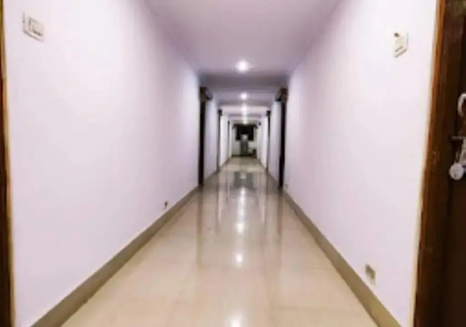 Hotel Mina Palace