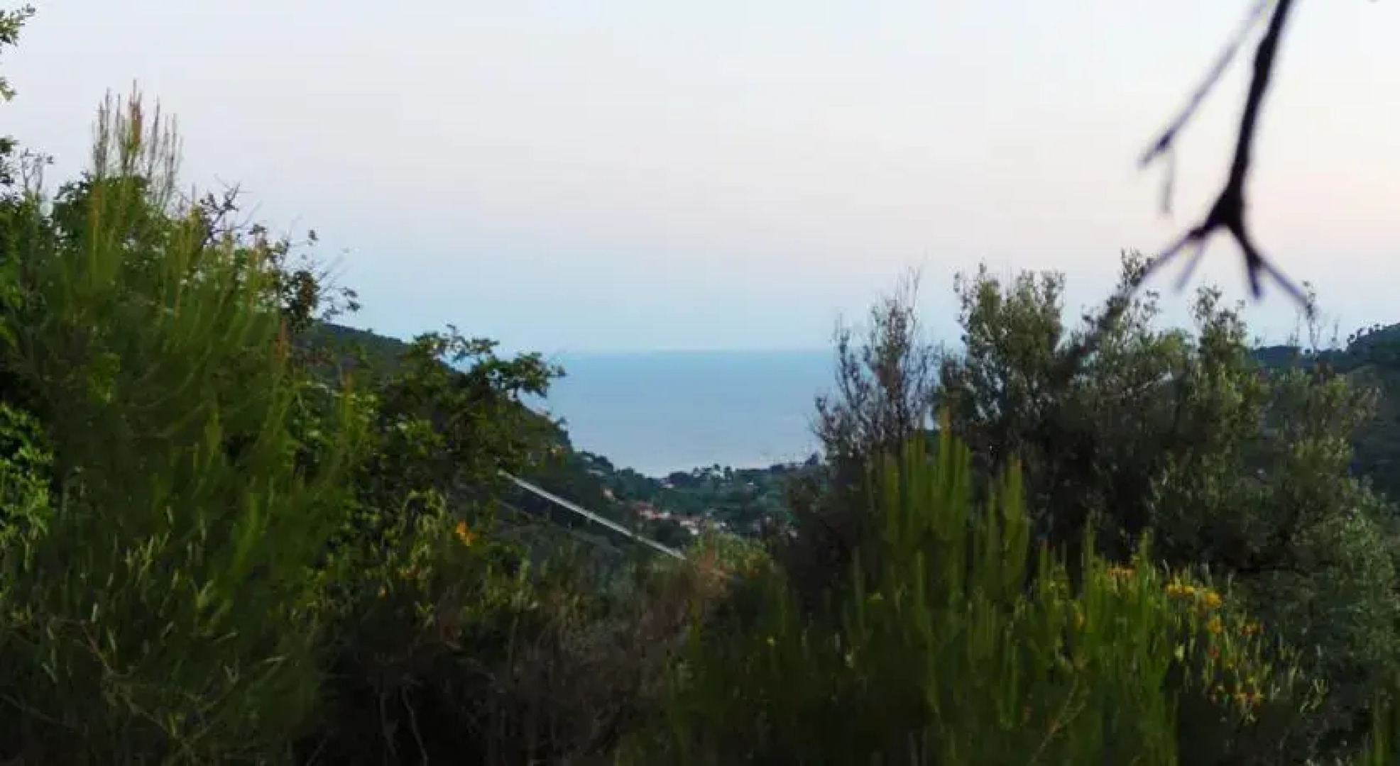 La gatta del cilento