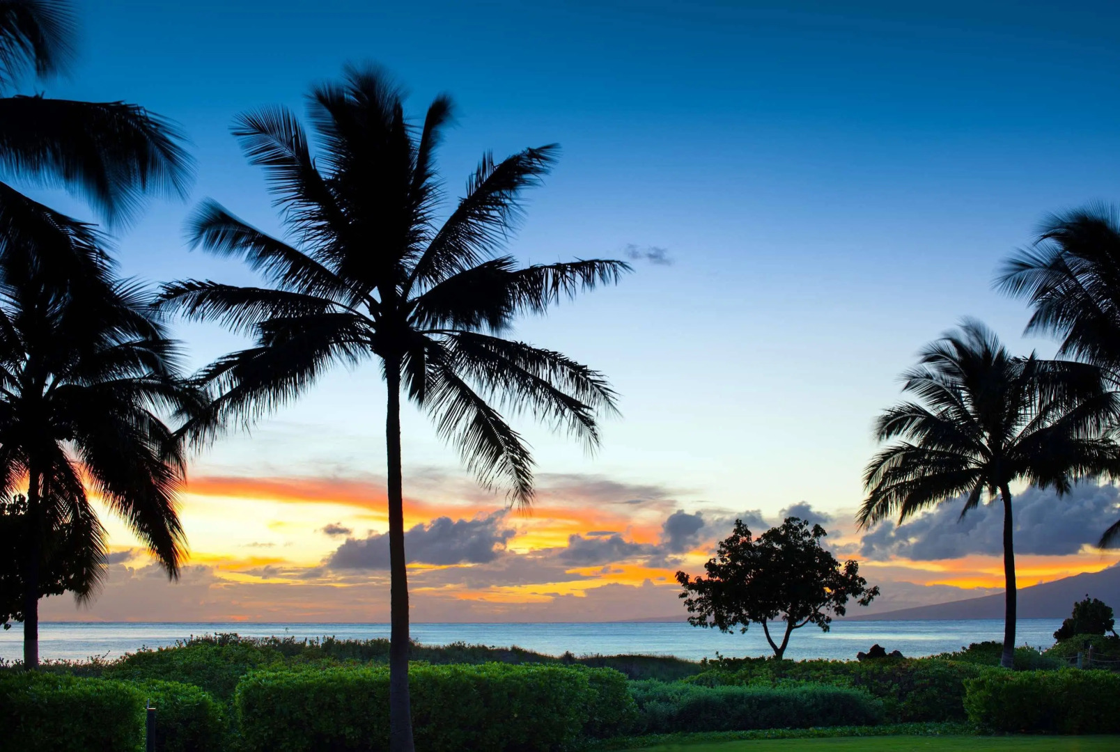 The Westin Nanea Ocean Villas, Ka'anapali