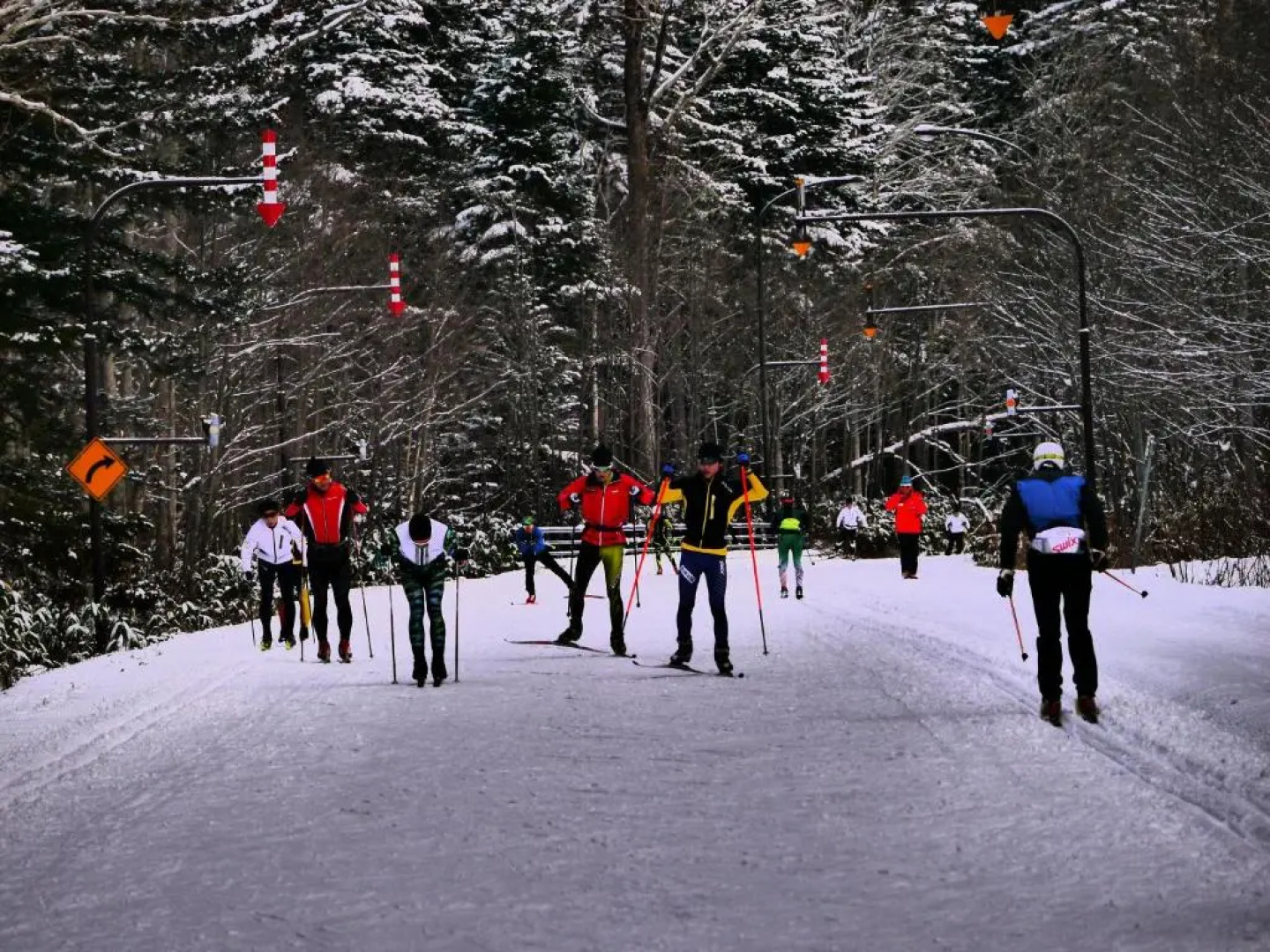 Shirogane Park Hills