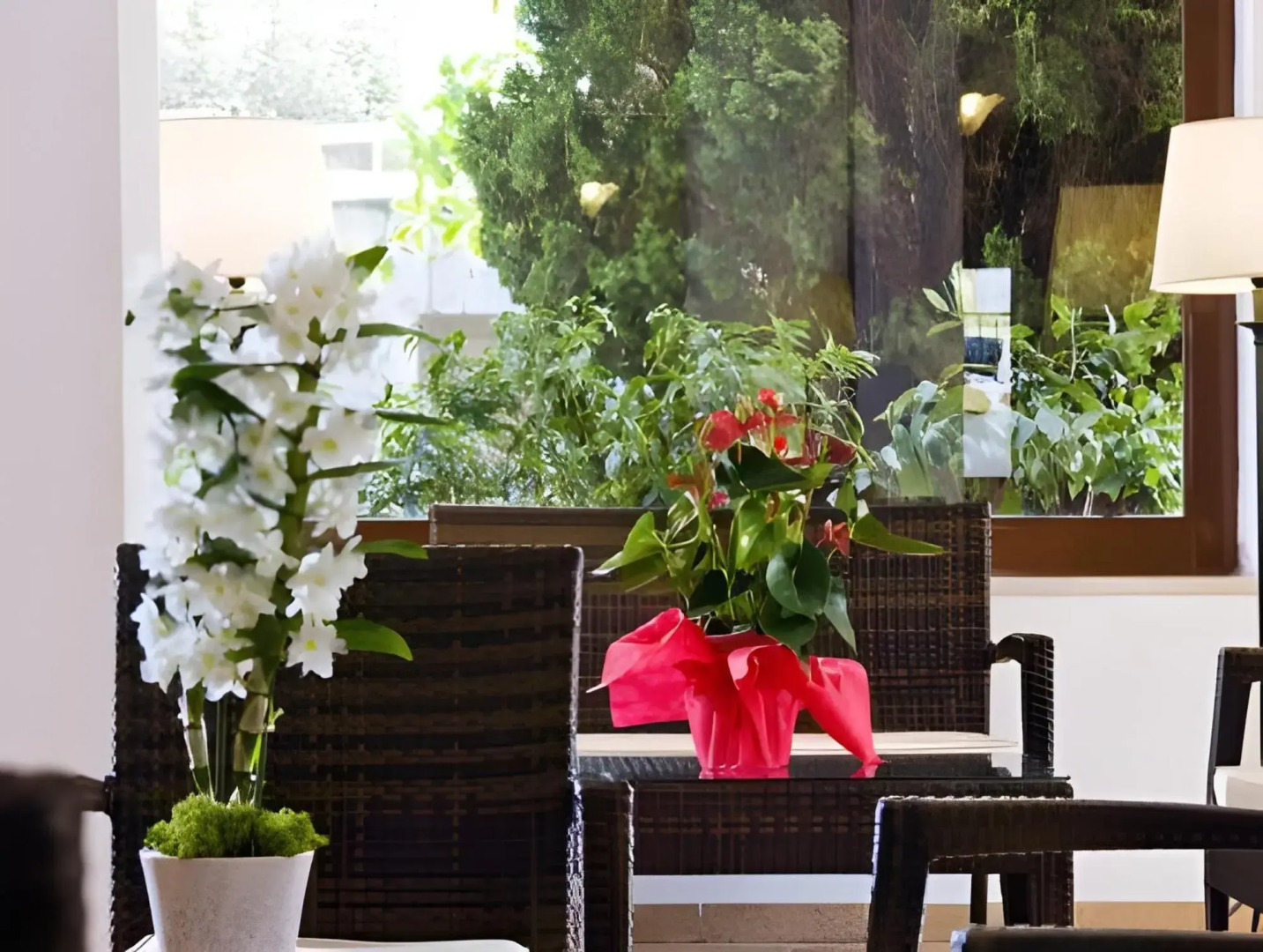 Family Spa Hotel Le Canne