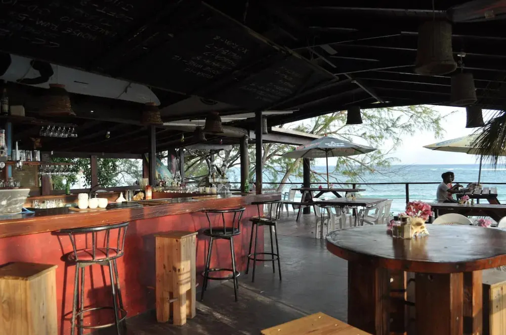 Tropical Gecko Studio