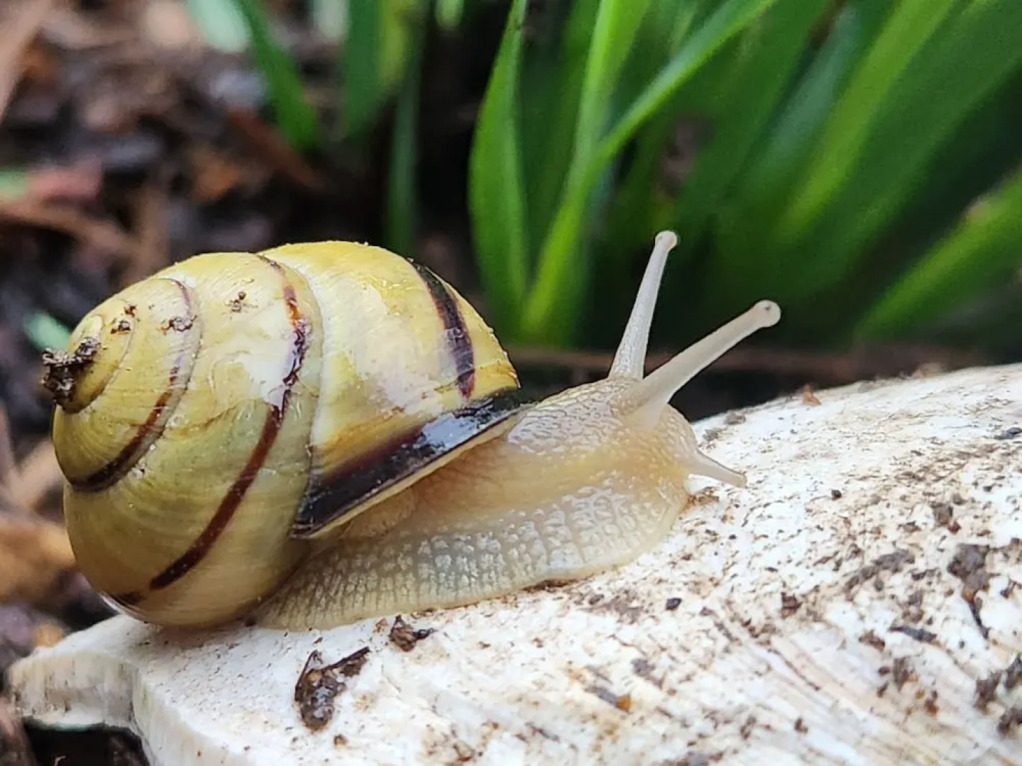 Marblehead Oasis 3 Bedroom Townhouse by RedAwning