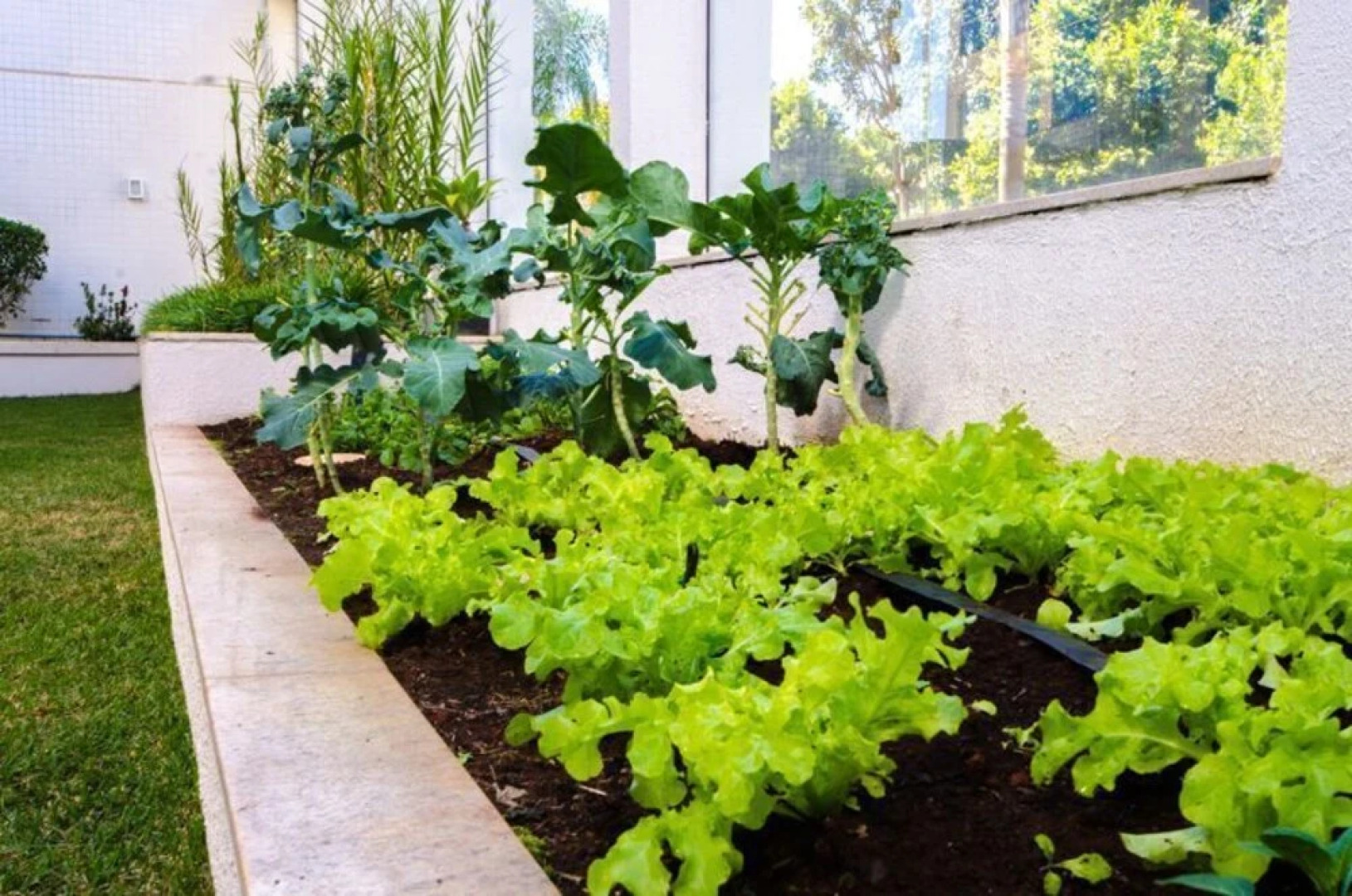 AV110 Completo e perto do metro