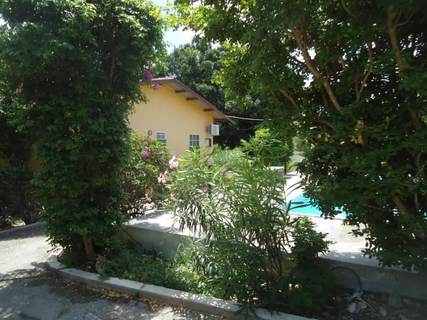 Happy Turtle Apartments