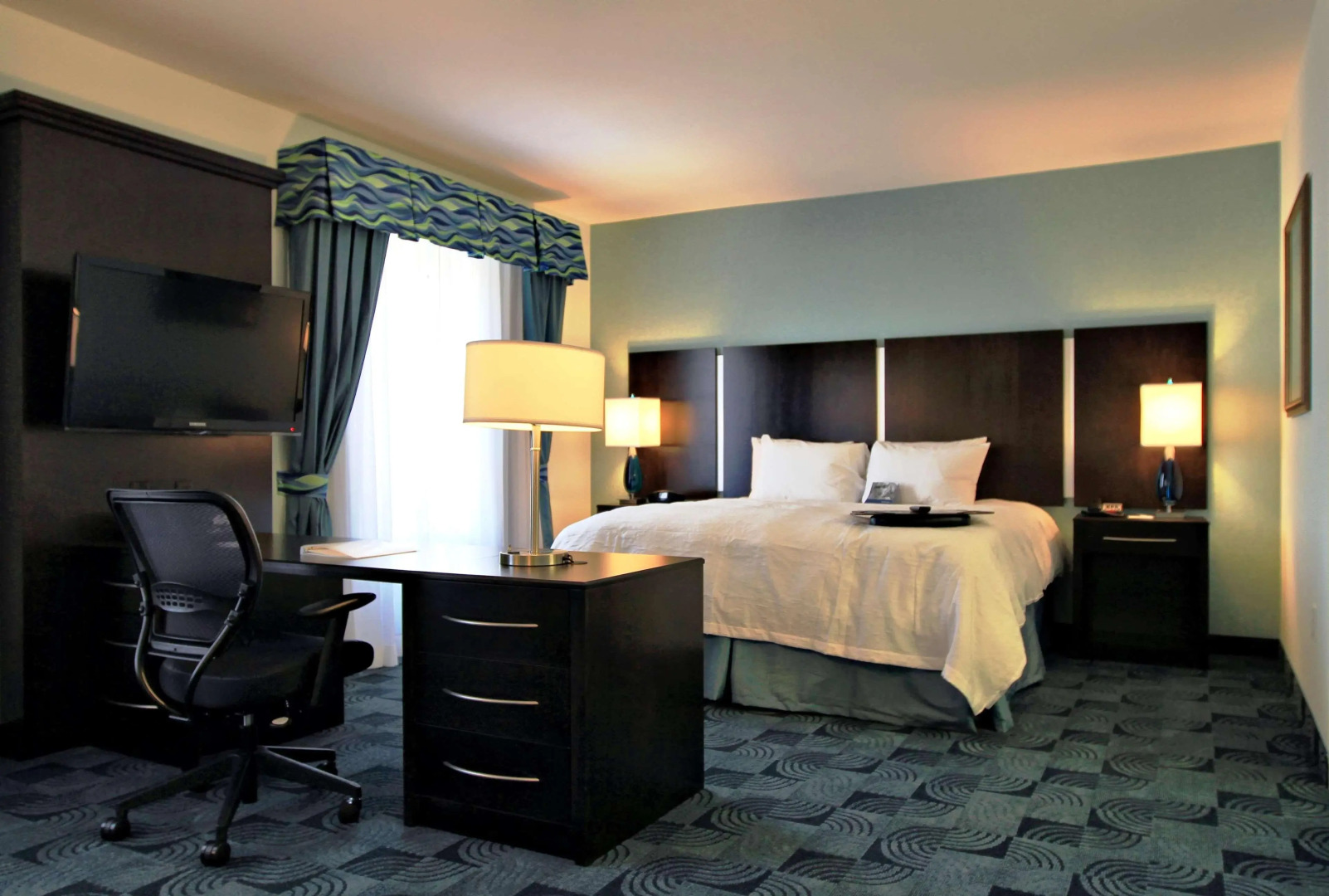 Hampton Inn & Suites Dallas/Lewisville-Vista Ridge Mall, TX