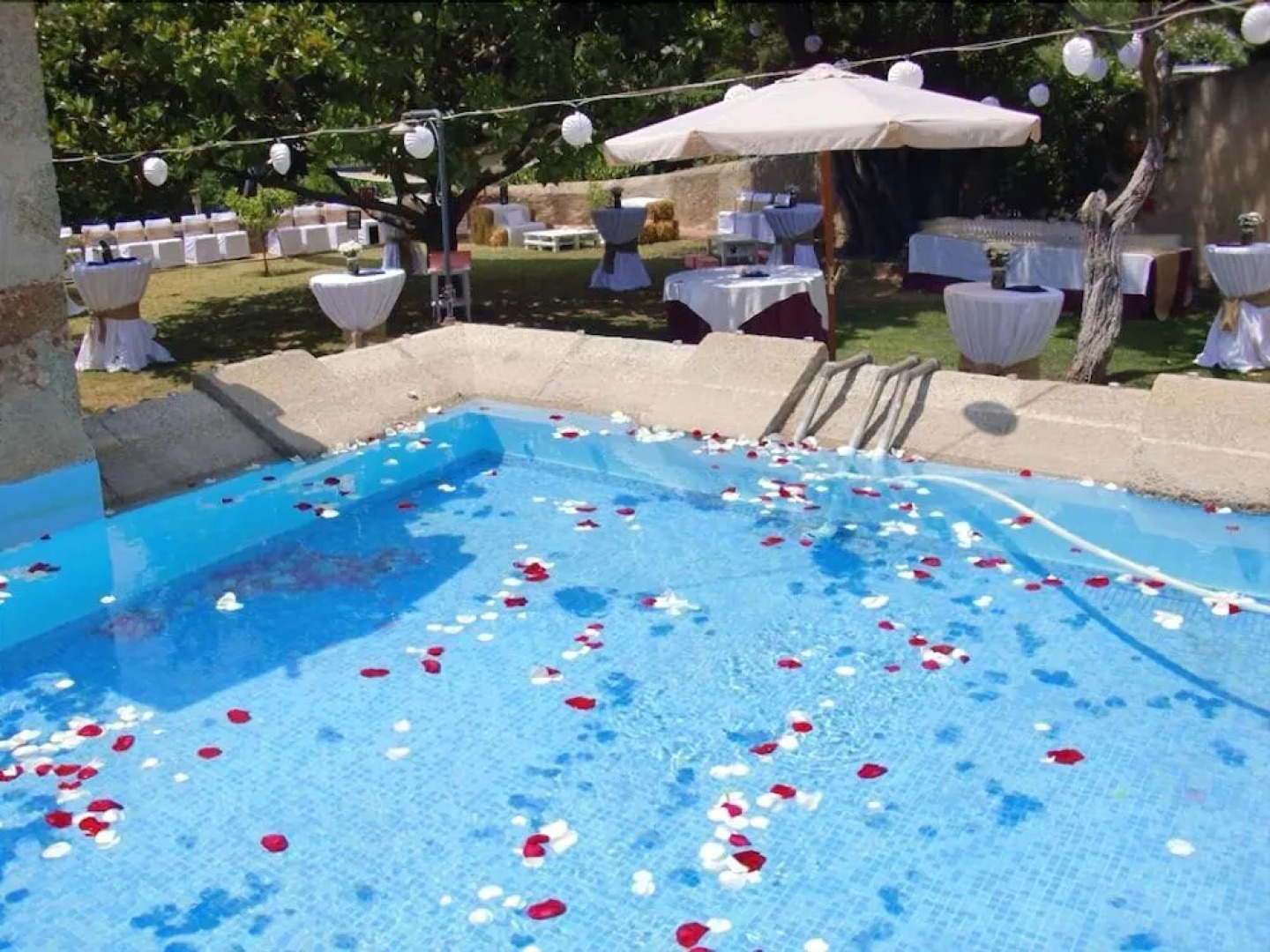 Hotel Masia Can Vive