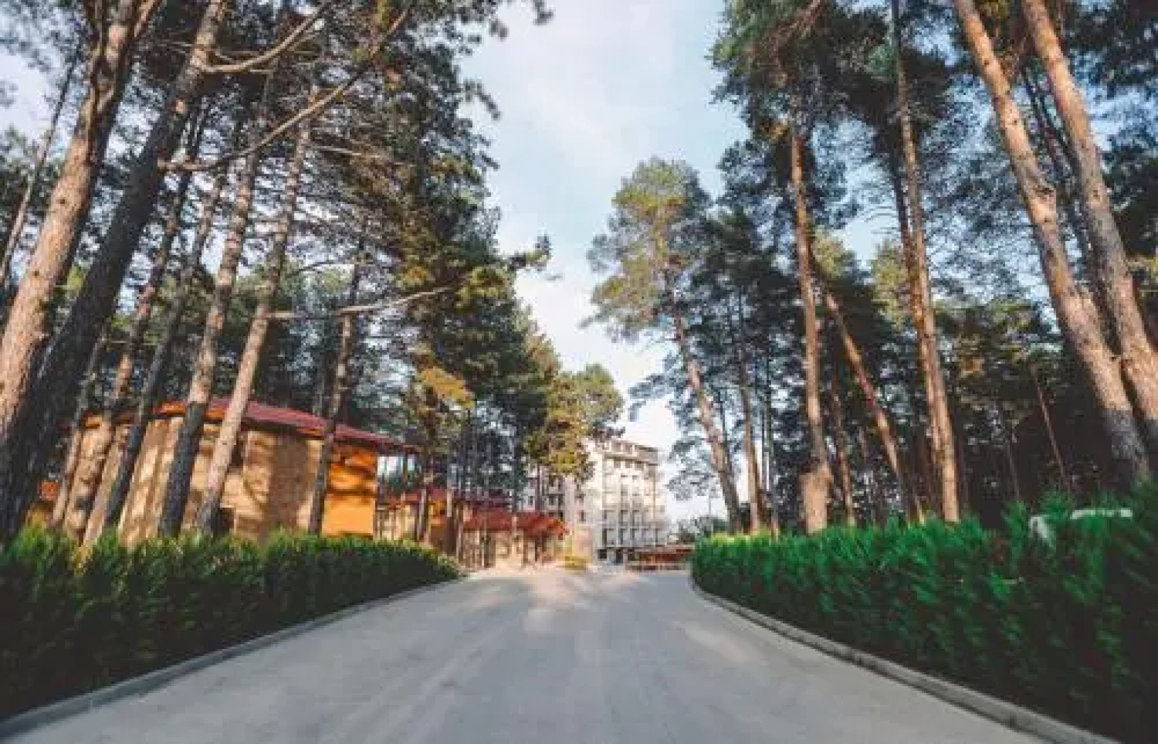 Resort 5 Stars Telavi