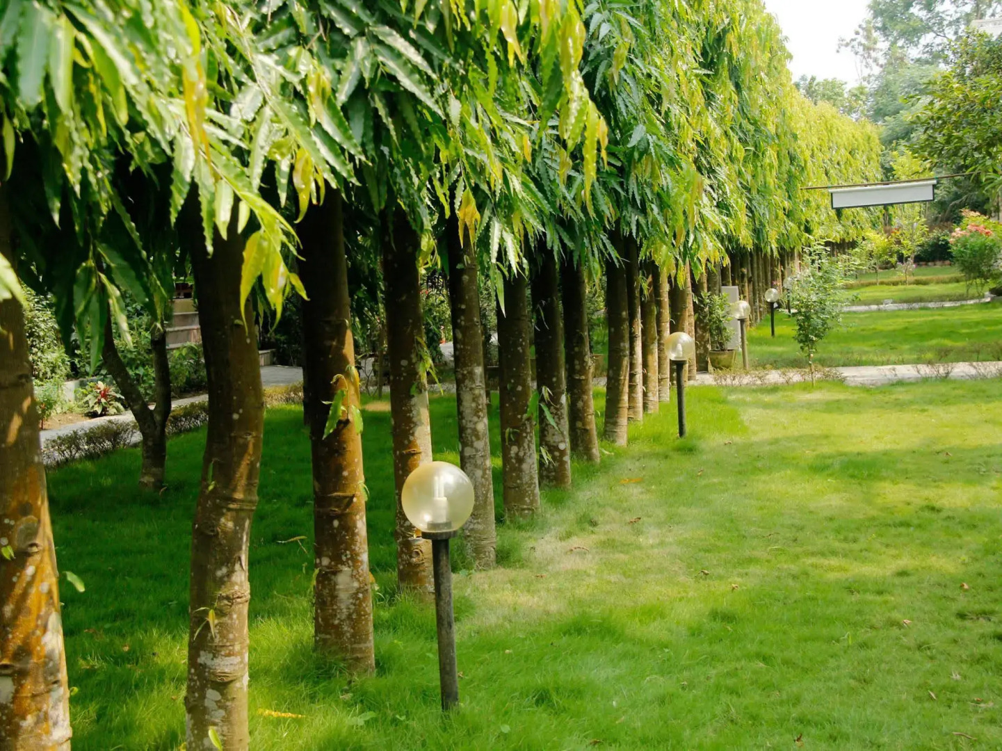 Jungle Safari Resort