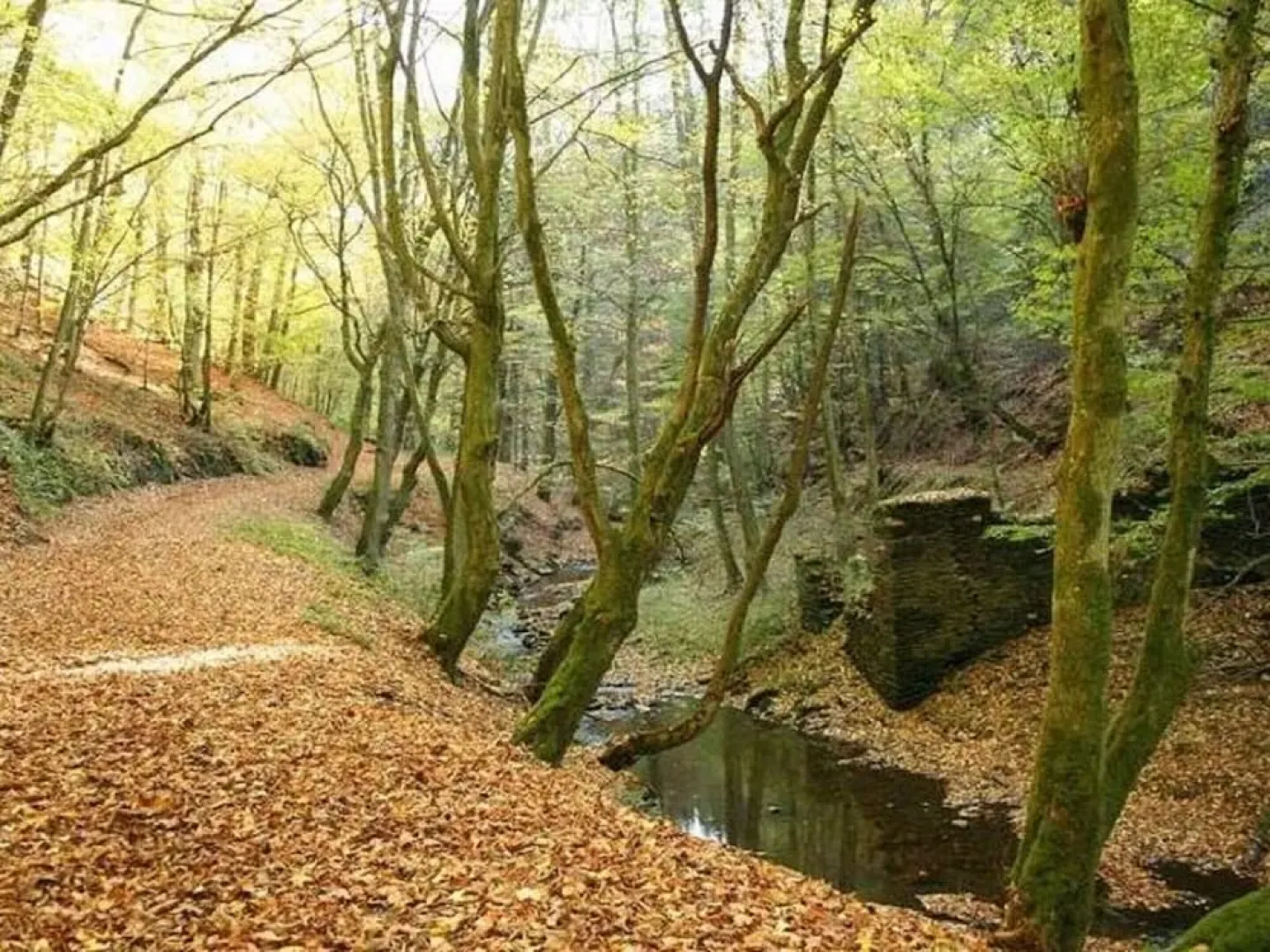 Apartment in Mtsrz With Garden