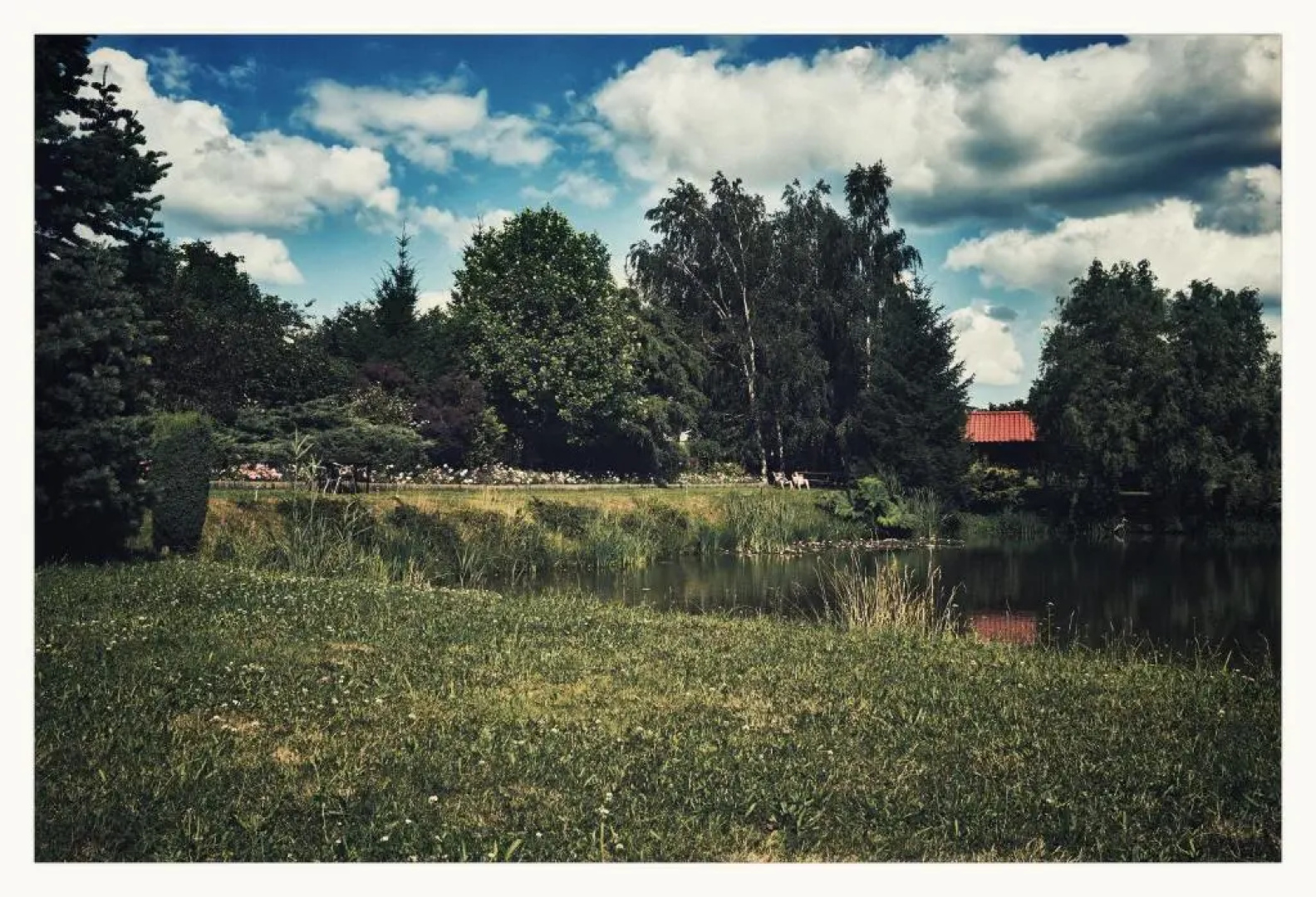 Agroturystyka Siołki