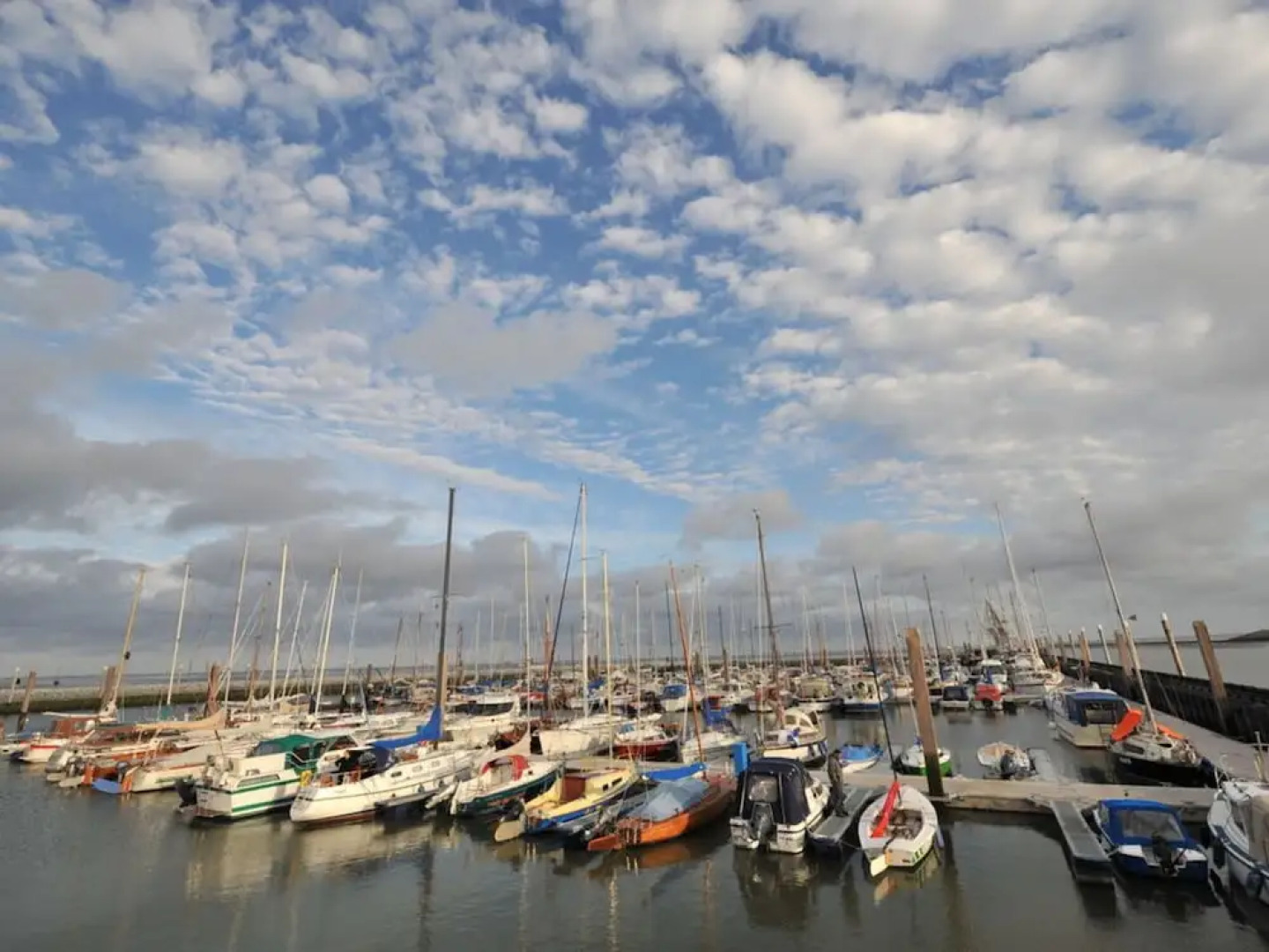 Dunenhuus West Modern Retreat