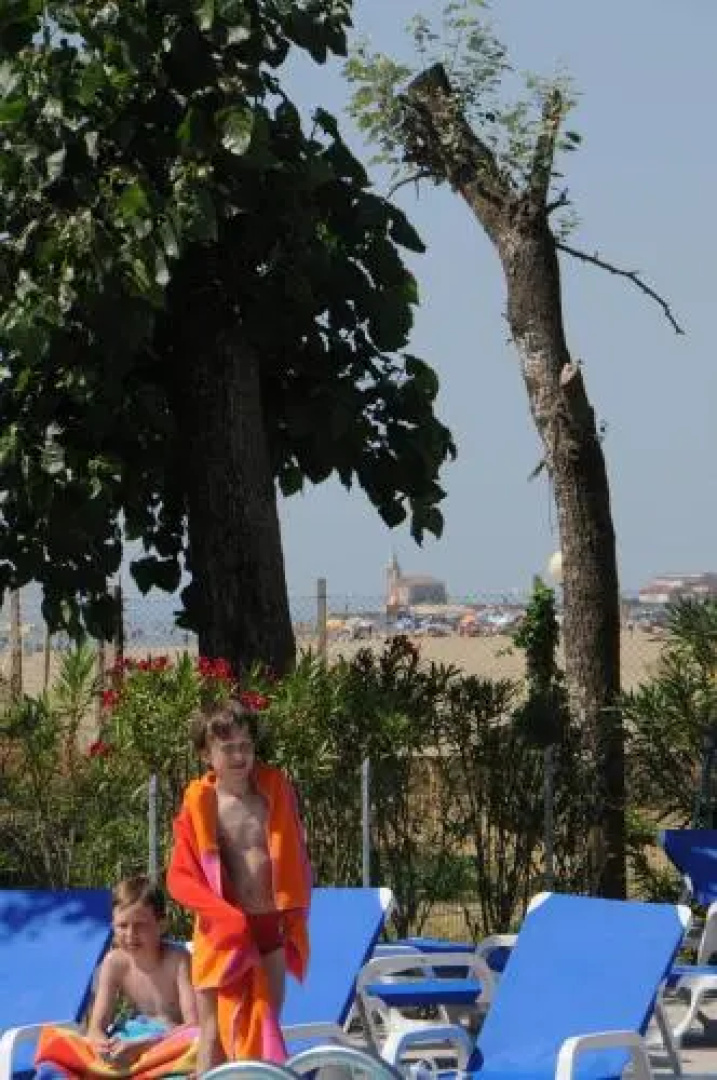 Campeggio Falconera